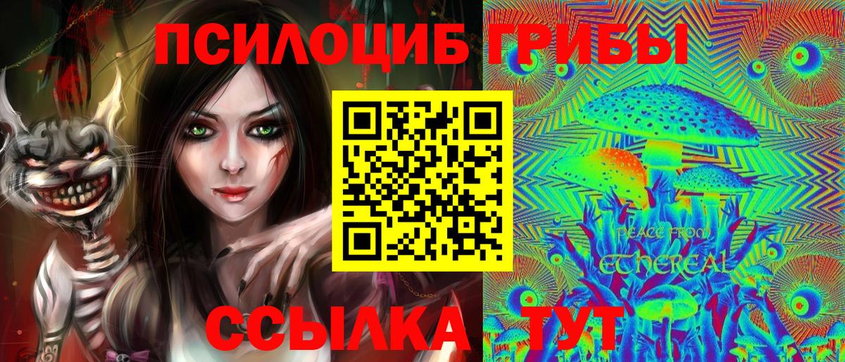 Псилоцибиновые грибы GOLDEN TEACHER Троицк